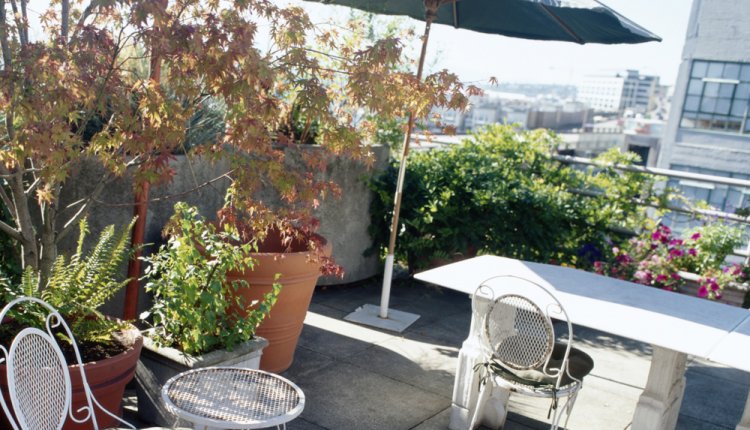 dakterras dakterras