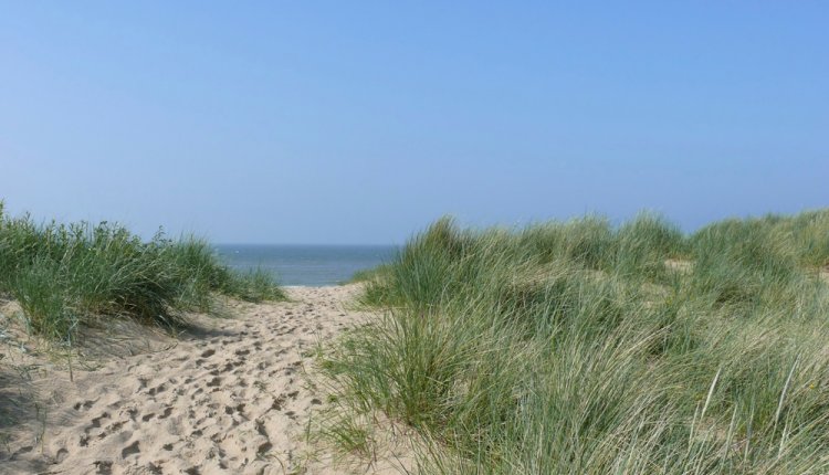 duinen