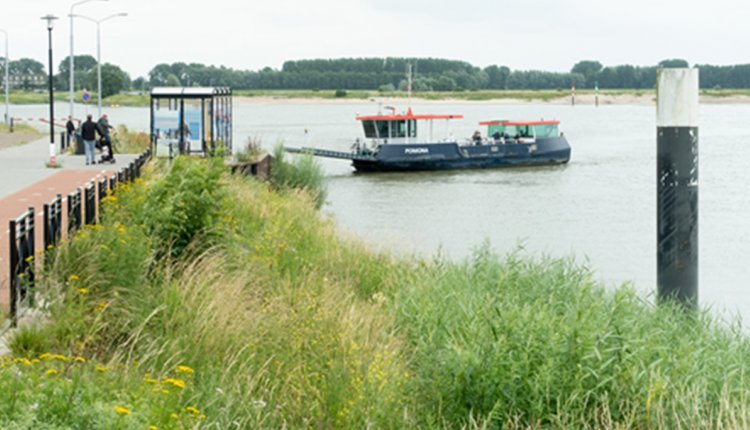 Veerboot bij Tiel