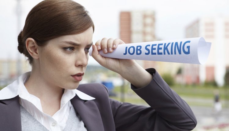 job seeking job seeking
