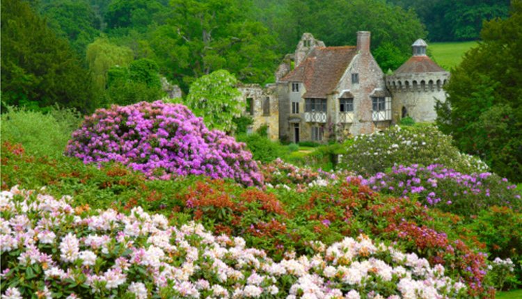 kent gardens kent gardens