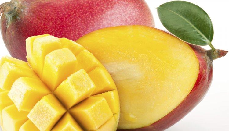 mango mango