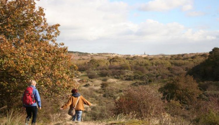 Meijendel