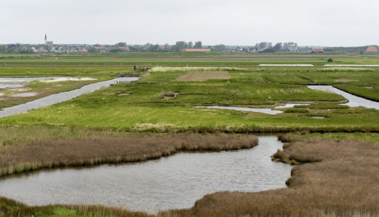 texel texel