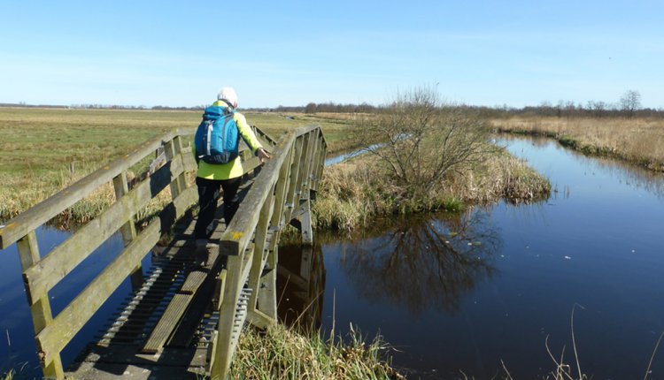 wandelaar op een brug