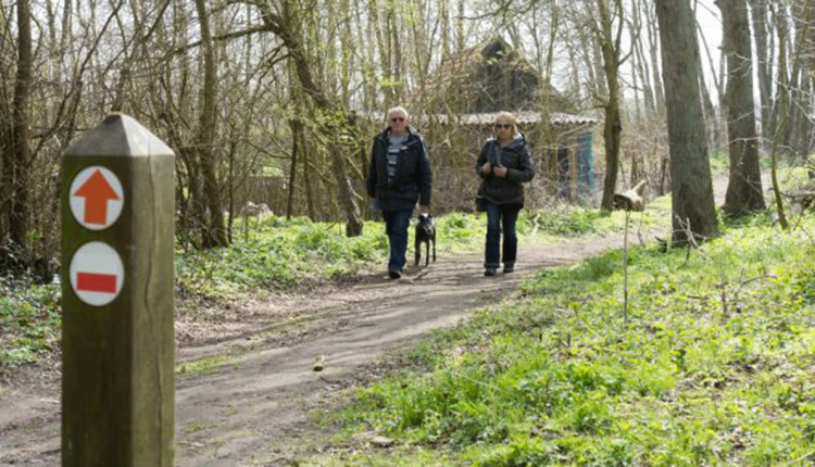 twee wandelaars met hond