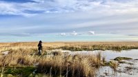 Wandelen langs het water