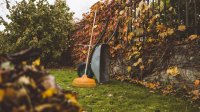 Tuinieren herfst oktober september bladeren