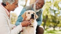 Echtpaar met hond in de tuin