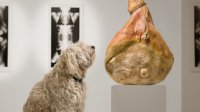 Hond in het museum
