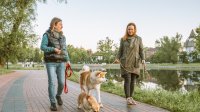 Twee vrouwen ontmoeten elkaar op straat tijdens het honden uitlaten