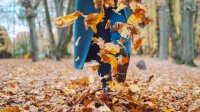 herfst