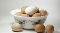 Eggs