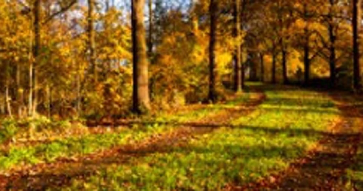 Landgoed Gorp en Roovert (36 km) | PlusOnline