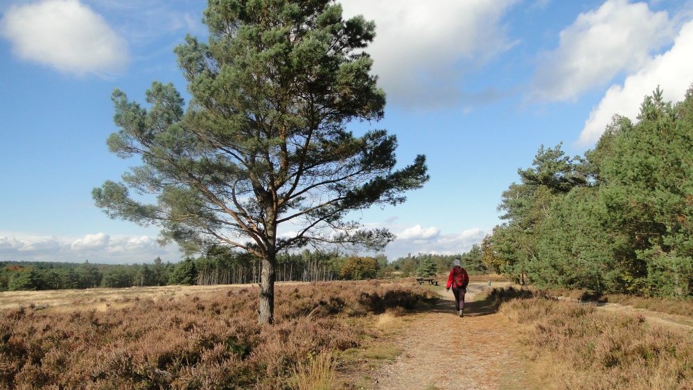 Trage Tocht Hoenderloo
