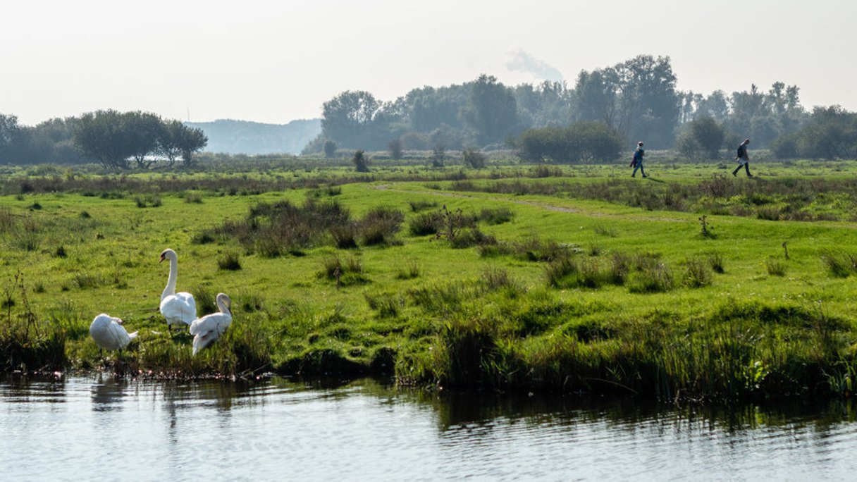 Wandeling van de maand: Trage Tocht Benschop