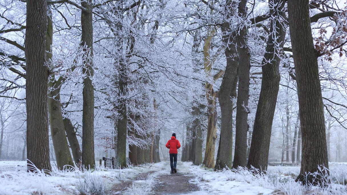 Wandeling van de maand: landgoedwandeling Laag-Zuthem - PlusOnline