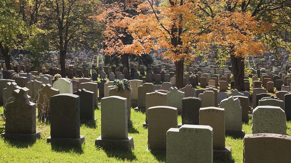 Binnen hoeveel dagen moet iemand na overlijden begraven of gecremeerd worden? Binnen hoeveel dagen moet iemand na overlijden begraven of gecremeerd worden?