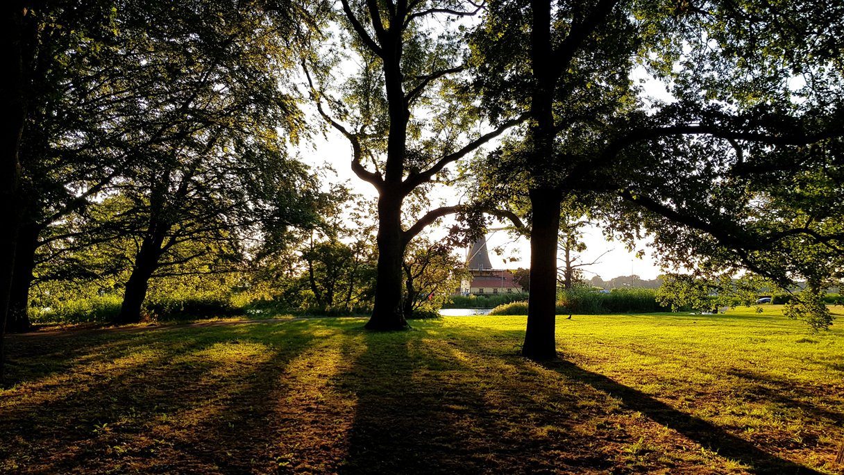 Vier schaduwrijke fietsroutes