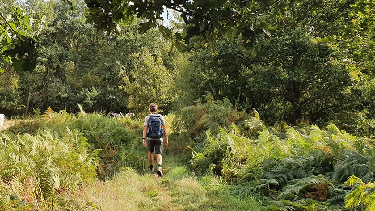 Wandeling van de maand: Trage Tocht Biezenmortel