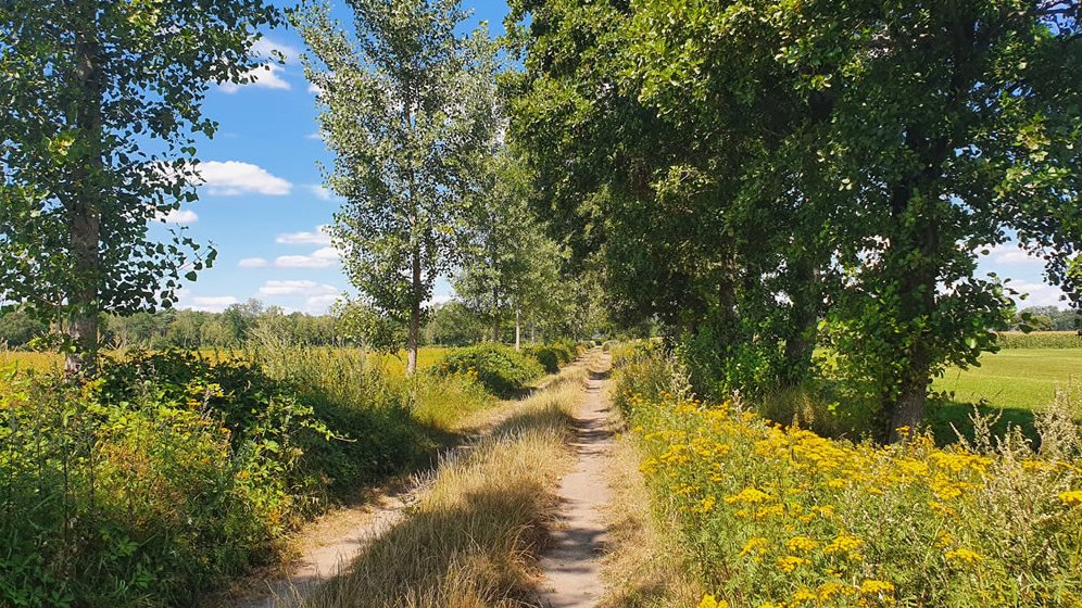 Wandeling van de maand: Trage Tocht De Mortel