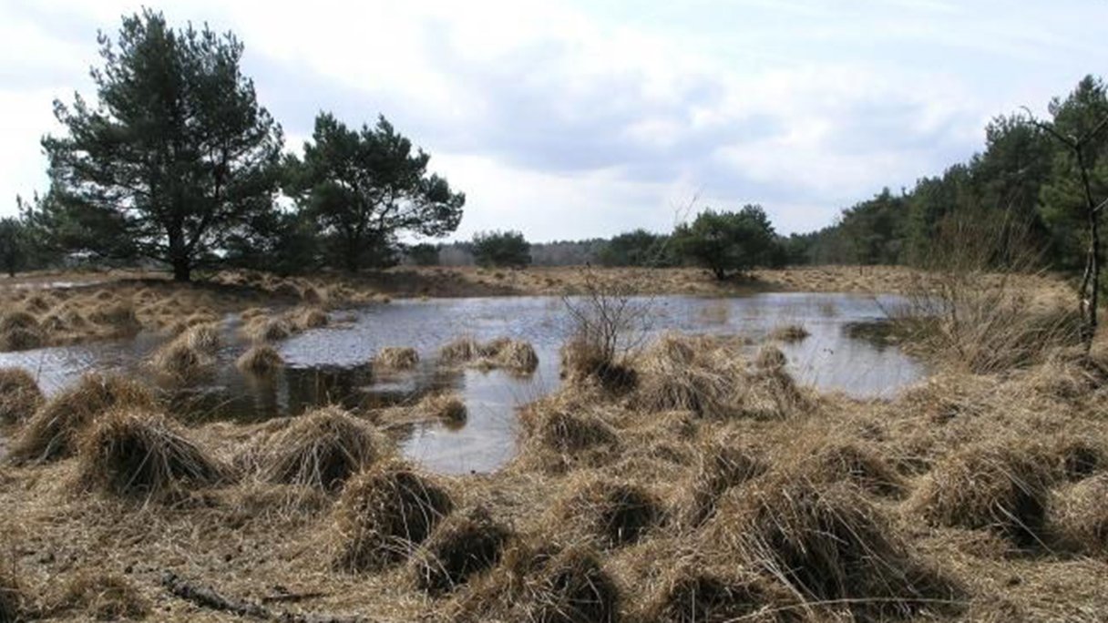 Wandeling van de maand: aan de bovenloop van de Kleine Beerze