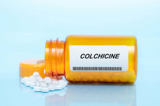Colchicine wordt al lang gebruikt bij jicht
