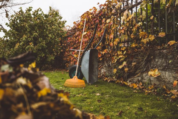 Tuinieren herfst oktober september bladeren