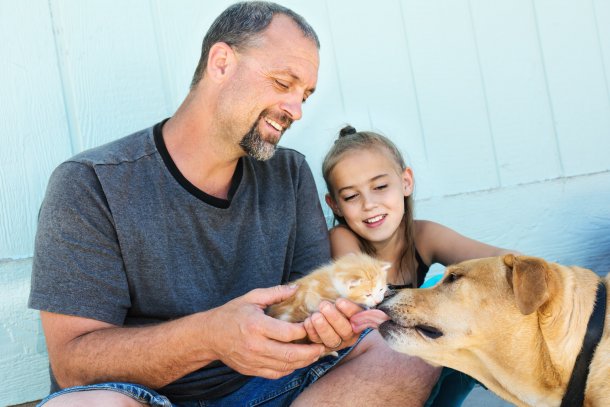 Dieren hond kat huisdier