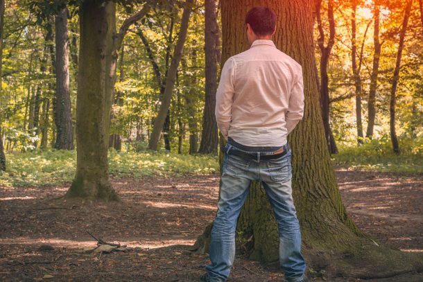 Man plast tegen boom