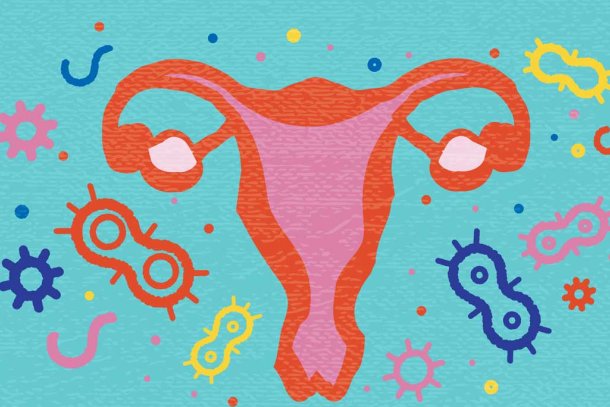 Vaginale microbioom