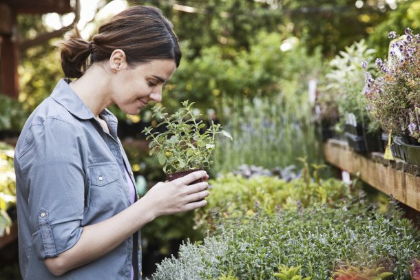 Vrouw met kruidenplantje in de tuin