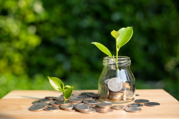 Groen sparen, geld in een potje met planten