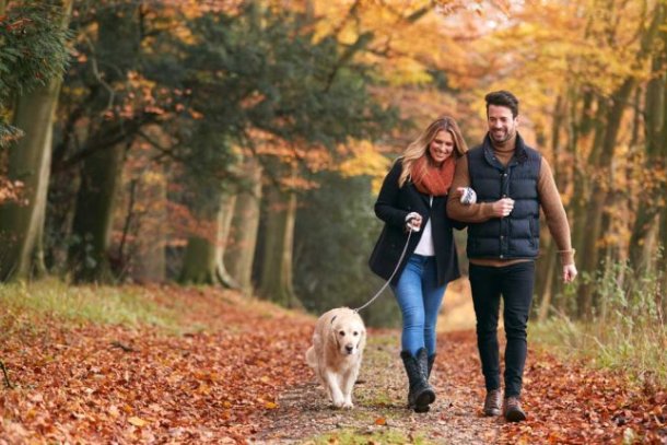 stel loopt in de herfst in bos met hond
