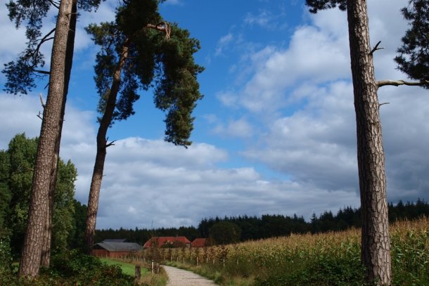 Ayurveda Twente