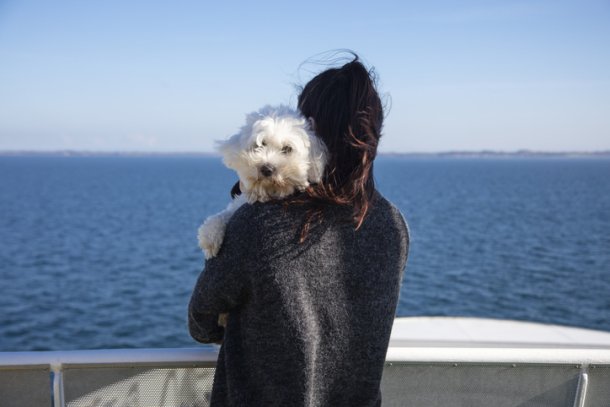 Hond kijkt over de schouder van eigenaresse aan zee