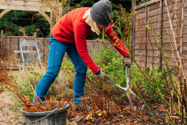 Tuinieren in de winter