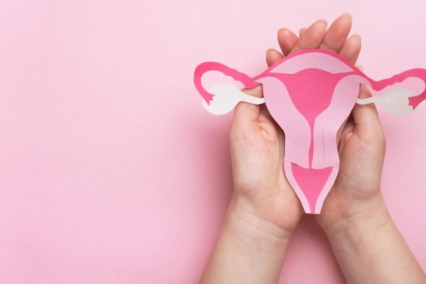 handen met illustratie van baarmoeder