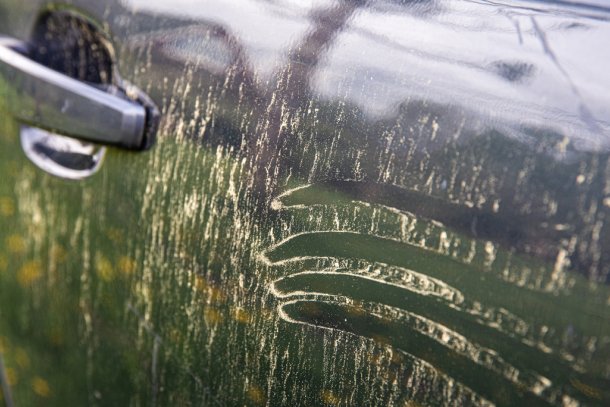 pollen op de auto