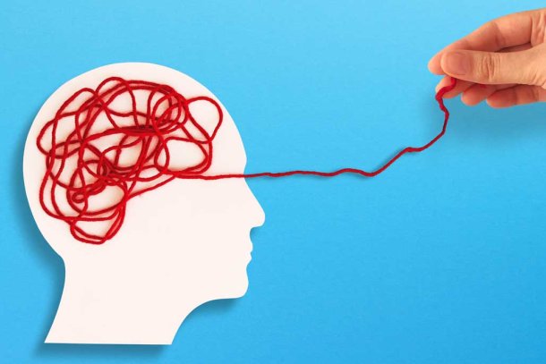 warrig brein illustratie met wol