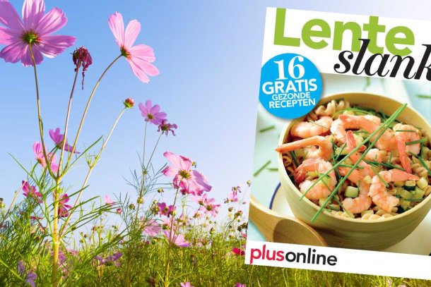 Receptenboekje Lenteslank